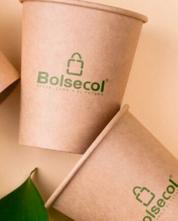 Bolsas en Papel Kraft